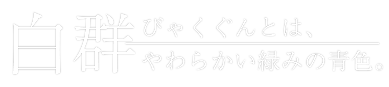 studio白群